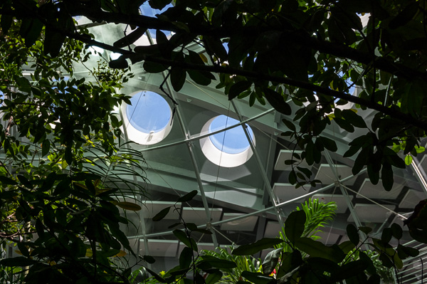 Image - Piano, California Academy of Science