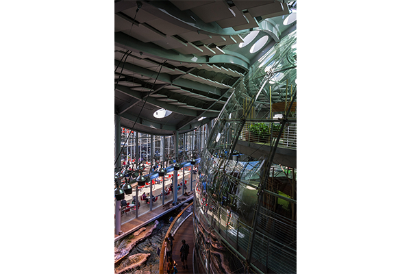 Image - Piano, California Academy of Science