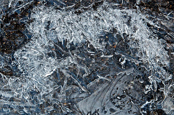 Image - Pepperwood Preserve